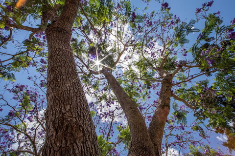 John Scott Park - Darwin Holiday 1