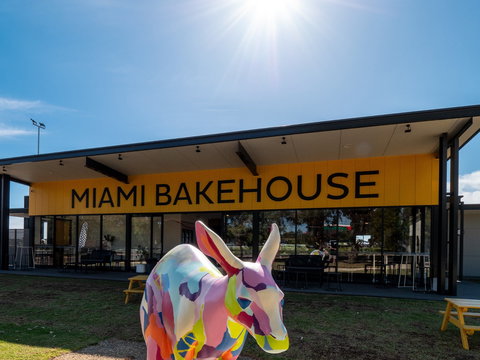 KangaART At Miami Bakehouse - Darwin Holiday 1