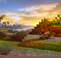 Kings Park and Botanic Garden - Darwin Holiday