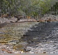 Lake Rowallan - Darwin Holiday