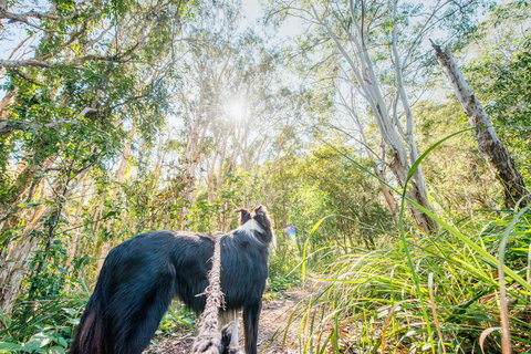 Lamb Island (Nguderoo) - Darwin Holiday 1