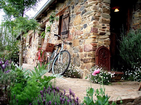 Lavandula Swiss Italian Farm - Darwin Holiday 2