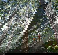 Leeuwin-Naturaliste National Park - Leeuwin - Darwin Holiday