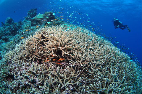 Lodestone Reef - Darwin Holiday 1