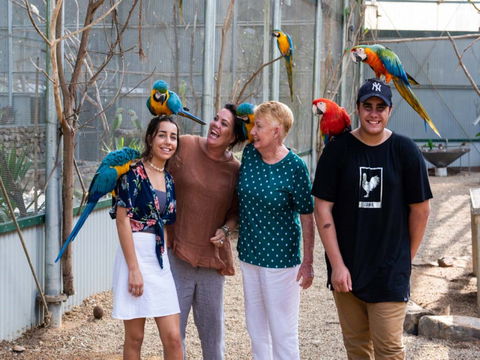 Maleny Botanic Gardens And Bird World - Darwin Holiday 0