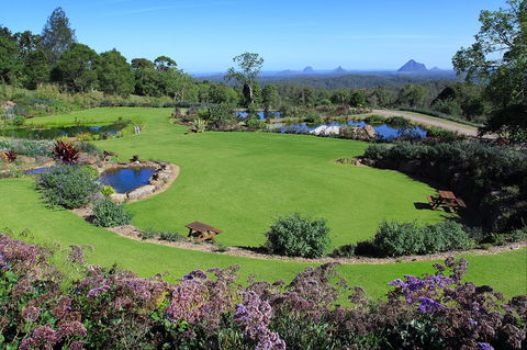 Maleny Botanic Gardens And Bird World - Darwin Holiday 2