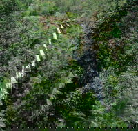 Mapleton Falls National Park