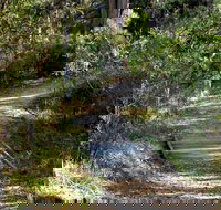 McDirtys Walking Track - Darwin Holiday