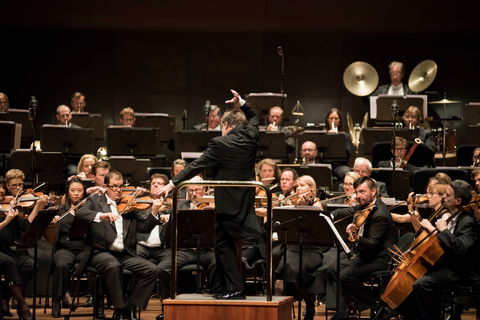 Melbourne Symphony Orchestra - Darwin Holiday 0