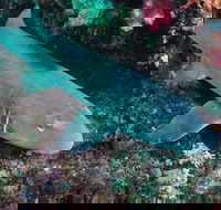 Middle Reef Dive Site - Darwin Holiday