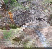 Mill-bullah Walking Track - Darwin Holiday