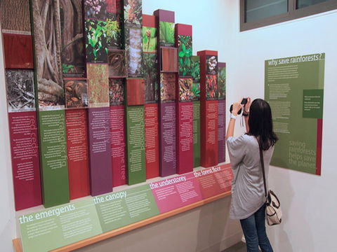 Minnamurra Rainforest Centre: Budderoo National Park - Darwin Holiday 1