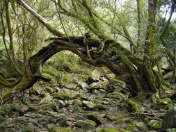 Book Bairnsdale VIC Attractions Darwin Holiday Darwin Holiday