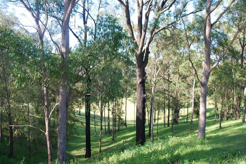 Mount Schoenstatt Spirituality Centre - Darwin Holiday 1
