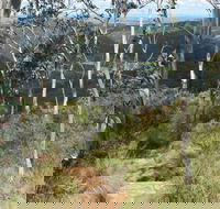 Mount Towac Walk - Darwin Holiday