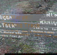 Mount Murga Walking Track - Darwin Holiday