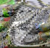 Nelly's Niche - Darwin Holiday