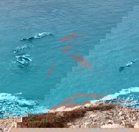 Nullarbor National Park - Darwin Holiday