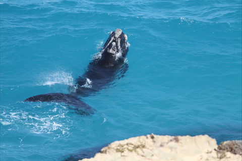 Nullarbor National Park - Darwin Holiday 2