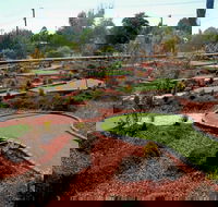 Orange Mini Golf - Darwin Holiday