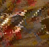 Paintball Sports - Darwin Holiday