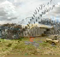 Patons Hut walking track - Darwin Holiday