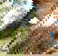 Pilliga Forest - Darwin Holiday