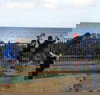 Port Vincent Putt Putt - Darwin Holiday