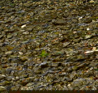Potoroo Falls picnic area - Darwin Holiday