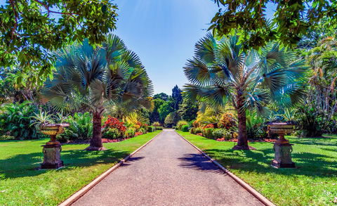 Queens Gardens - Darwin Holiday 1