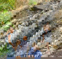 Queens Park Waterfall - Darwin Holiday