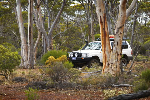 Ravensthorpe Range - Darwin Holiday 0