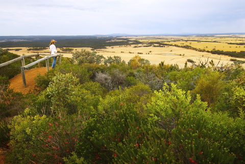 Ravensthorpe Range - Darwin Holiday 1