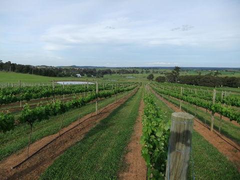 Razorback, Cawdor, Camden Park - Darwin Holiday 0