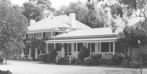 Razorback - Darwin Holiday 0