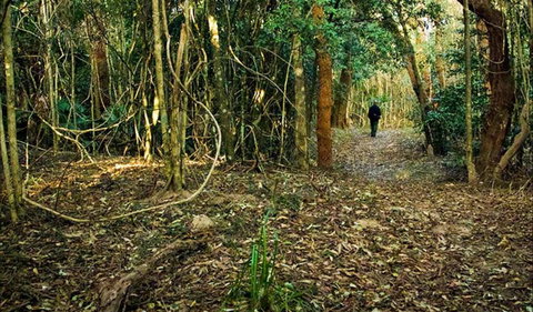 Sand Track Walk (north) - Darwin Holiday 0