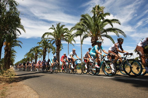 Seppeltsfield - Darwin Holiday 2