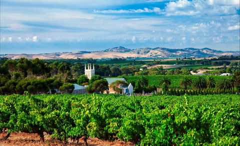 Seppeltsfield Road Barossa Valley - Darwin Holiday 1