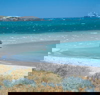 Singleton - Darwin Holiday