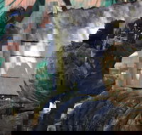 Skirmish Sunshine Coast Outdoor Paintball - Darwin Holiday