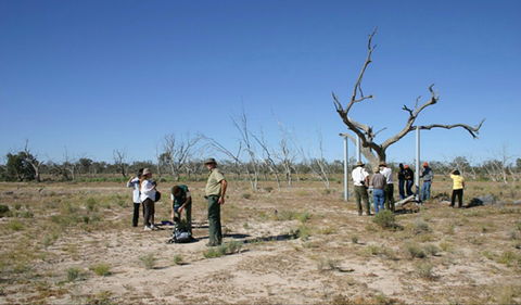 Sturt's Tree Walk - Darwin Holiday 0
