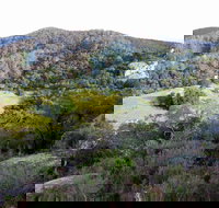 The Bellbird - Darwin Holiday