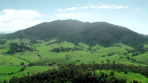 The Bellbird - Darwin Holiday 1