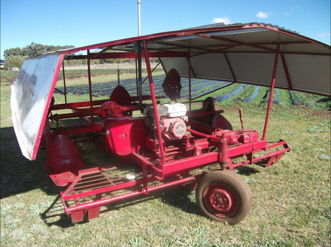 The Super Strawberry - Darwin Holiday 2