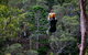 Thunderbird Park ® - Tamborine Mountain, Gold Coast Region - thumb 2