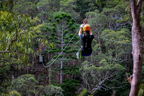 Thunderbird Park ® - Tamborine Mountain, Gold Coast Region - Darwin Holiday 2