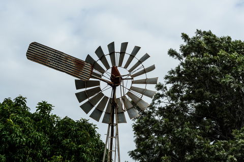 Tinaberries - Darwin Holiday 0