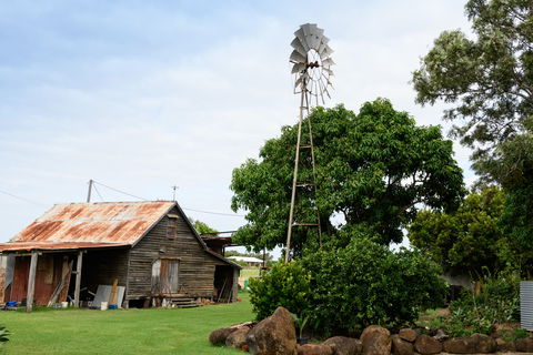 Tinaberries - Darwin Holiday 1