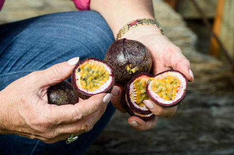 Tinaberries - Darwin Holiday 2