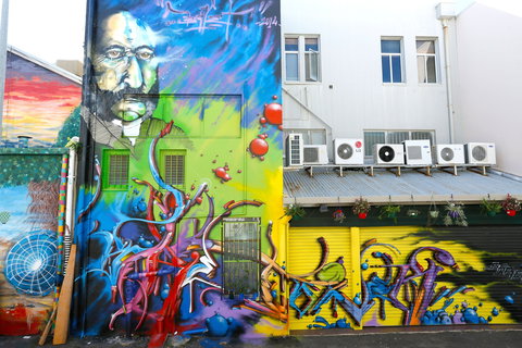 Townsville Street Art - Darwin Holiday 2